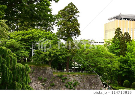 初夏の盛岡城跡公園 114713919