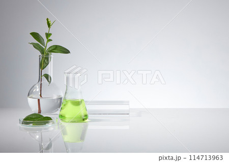 Green tea and laboratory theme photograph on white texture, a boiling flask with a green tea branch decorated, an erlenmeyer flask, a petri dish and blank pedestal placed on the left side of photo 114713963