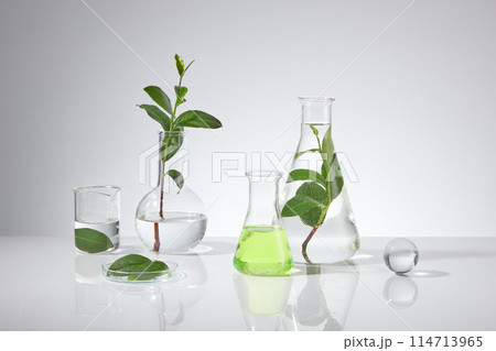 Plenty experiment instruments displayed on white table top over white background with green tea ingredient decoration, blank space for adding text and elements of designing Plenty experiment instruments displayed on white table top over white background with green tea ingredient decoration, blank space for adding text and elements of designing 114713965