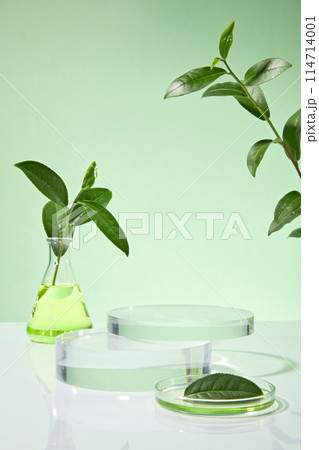 Two empty glass platforms are placed on top of each other, a petri dish of green liquid with a green tea leaf decorated placed in front, a erlenmeyer with green essence in back, over green texture 114714001
