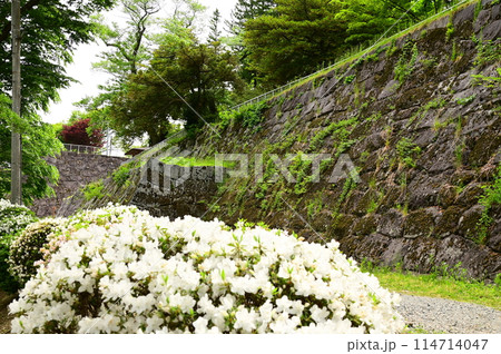 初夏の盛岡城跡公園 114714047