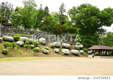 初夏の盛岡城跡公園 初夏の盛岡城跡公園 114714053
