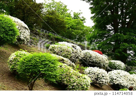 初夏の盛岡城跡公園 114714058