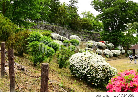 初夏の盛岡城跡公園 114714059