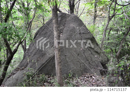 Mt.Hokyo is a 461-meter-high mountain located in the northeastern part of Tsukuba City, Ibaraki JAPAN. To the east, you can see Kasumigaura, which is the second largest in Japan, and the Pacific Ocean 114715137