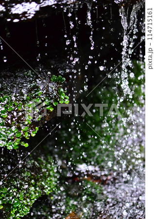 Mt.Hokyo is a 461-meter-high mountain located in the northeastern part of Tsukuba City, Ibaraki JAPAN. To the east, you can see Kasumigaura, which is the second largest in Japan, and the Pacific Ocean 114715161