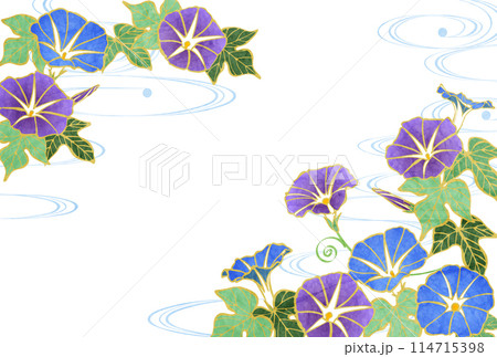 あさがお、暑中見舞いはがき、夏、花、かわいい、イラスト、横 114715398