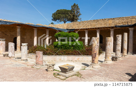Ruins of roman villas in Carthage, Tunisia 114715875