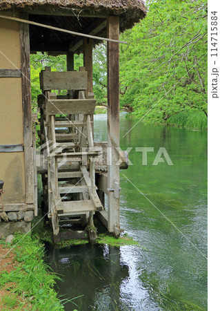 5月の安曇野 大王わさび農場の水車小屋 5月の安曇野 大王わさび農場の水車小屋 114715884