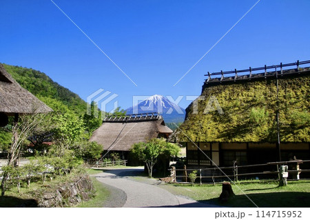 西湖いやしの里 根場からの富士山(山梨県・富士河口湖町) 西湖いやしの里 根場からの富士山(山梨県・富士河口湖町) 114715952