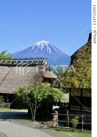 西湖いやしの里 根場からの富士山（山梨県・富士河口湖町） 114715953