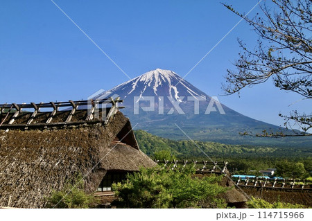 西湖いやしの里 根場からの富士山（山梨県・富士河口湖町） 114715966