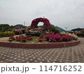 バラ公園 114716252