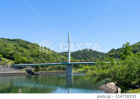 《福岡県》筑豊緑地・新緑 《福岡県》筑豊緑地・新緑 114716333