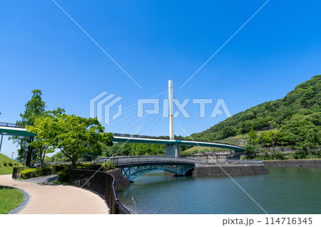 《福岡県》筑豊緑地・新緑 114716345