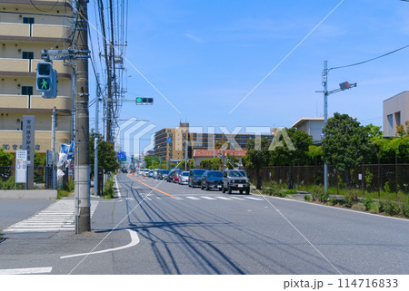 千葉県市川市地方卸売市場周辺2024年5月 114716833