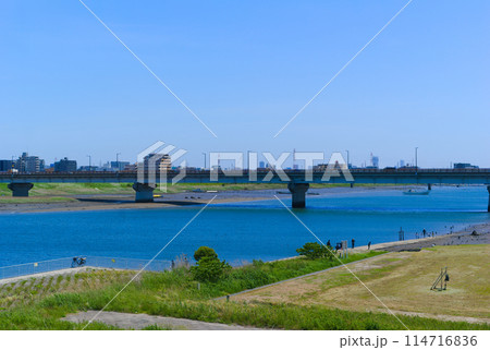 千葉県市川市江戸川の潮干狩りスポット2024年5月 114716836