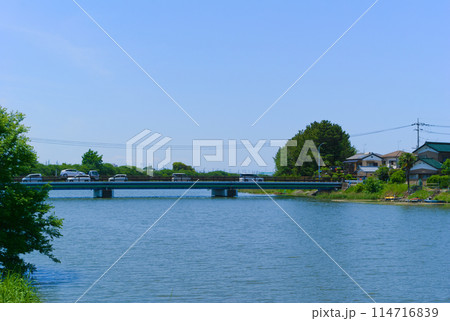 埼玉県松伏町堂面橋2024年5月 114716839