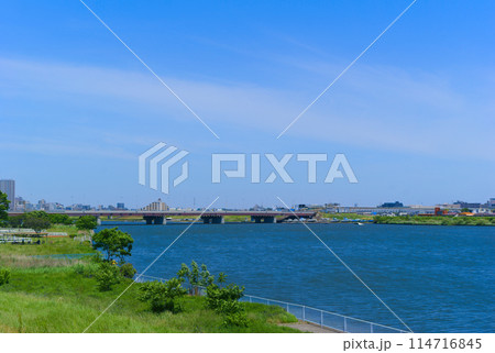東京都江戸川区江戸川2024年5月 東京都江戸川区江戸川2024年5月 114716845