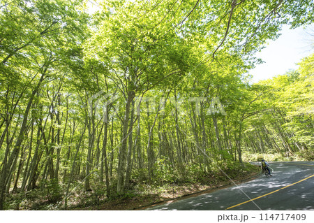 奥大山の新緑・初夏のサイクリングイメージ(鍵掛峠付近) 奥大山の新緑・初夏のサイクリングイメージ(鍵掛峠付近) 114717409