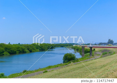 千葉県流山市江戸川2024年5月 千葉県流山市江戸川2024年5月 114717447