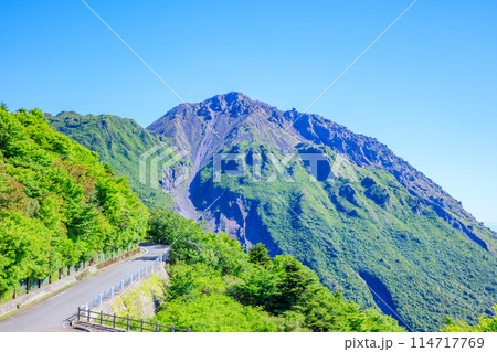 初夏の仁田峠から見た雲仙普賢岳　長崎県雲仙市 114717769