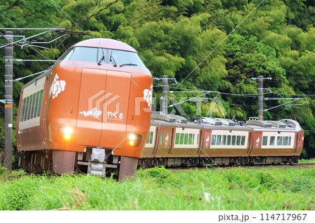 【JR西日本】273系「やくも」（伯備線：根雨〜黒坂） 114717967