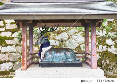 京都　吉田神社　神様のお使いの鹿（京都市左京区） 114718020