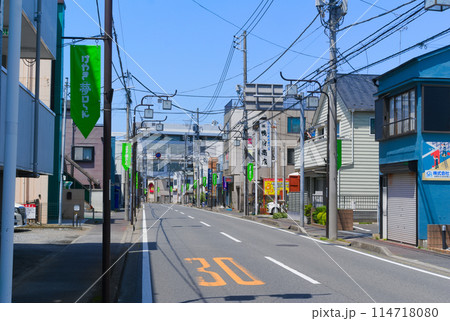 千葉県野田市けやき夢ロード2024年5月 114718080