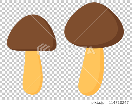 A candy with chocolate on the end of a stick A candy with chocolate on the end of a stick 114718247