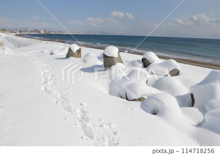 冬の海岸（北海道函館市日乃出町25-4） 114718256