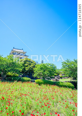初夏の竹崎城址展望台とポピーの花　佐賀県太良町 114718305