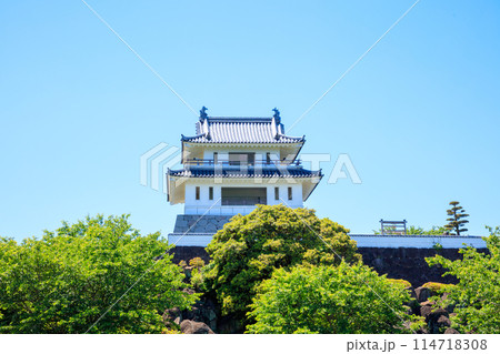 初夏の竹崎城址展望台　佐賀県太良町 114718308