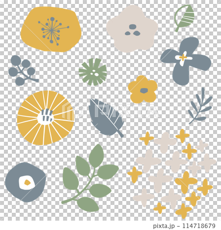 斯堪的納維亞植物的手繪插圖 斯堪的納維亞植物的手繪插圖 114718679