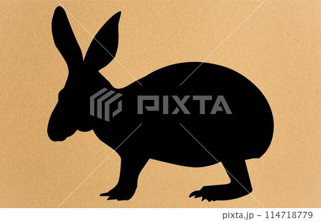 Aardvark silhouette vector free, Wild Animal, Aardvark Silhouette Illustration Isolated on White Background. Rare Animals. Aardvark silhouette vector free, Wild Animal, Aardvark Silhouette Illustration Isolated on White Background. Rare Animals. 114718779
