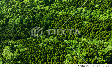 山林の風景　空撮 114718874