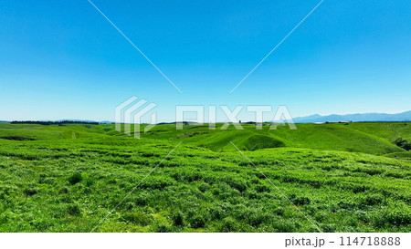 草原の風景 空撮 草原の風景 空撮 114718888
