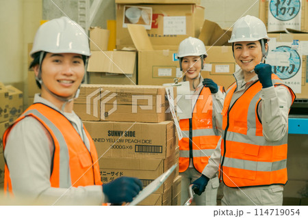 倉庫で働くロジスティックチーム 倉庫で働くロジスティックチーム 114719054