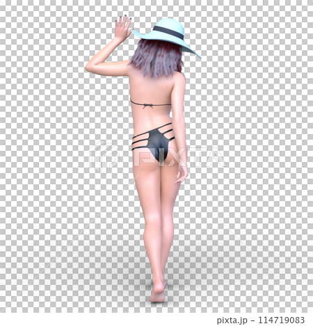 ビキニ姿の女性 ビキニ姿の女性 114719083