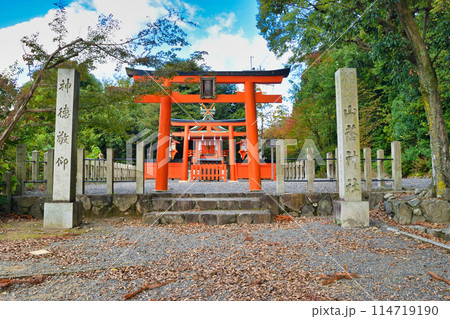 京都　吉田神社　山蔭神社（京都市左京区） 114719190