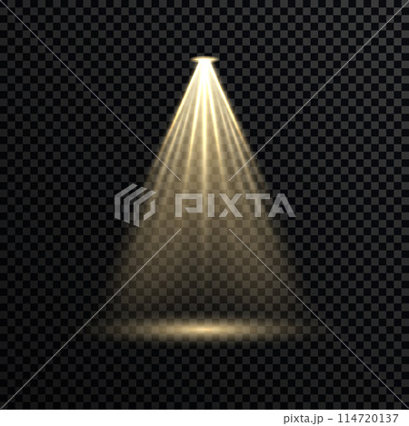 Effect sparkling stars light burst explosion, flickering and flashing lights. collection of different light effects on black background. transparent lens flares and lighting effects. vector design. 114720137
