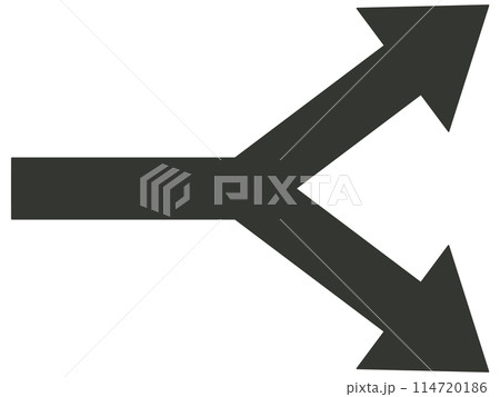 二股に分かれた矢印 二股に分かれた矢印 114720186