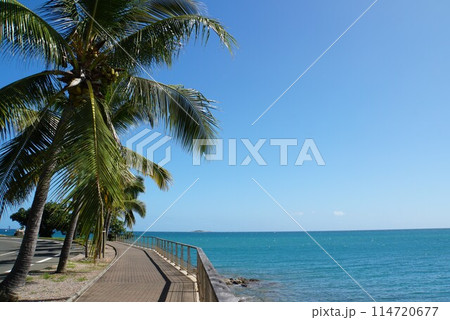 ニューカレドニアの風景 ニューカレドニアの風景 114720677