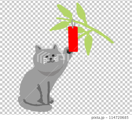 Tanabata bamboo and cat 114720685