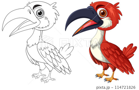 Colorful and Outline Bird Illustration 114721826