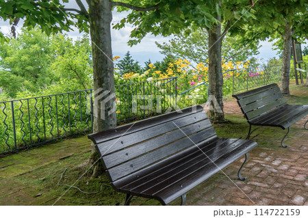 公園のベンチのある風景 114722159