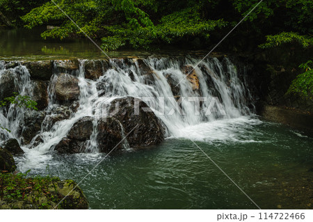 大阪府 箕面公園の初夏の景色 大阪府 箕面公園の初夏の景色 114722466