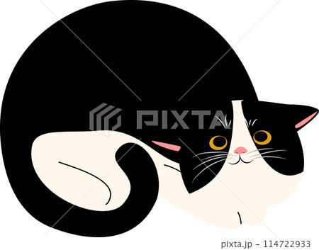 illustration, animal, vector, collection, cat, cute, drawing, cartoon, kitty, design, pet, art, character, set, funny, pose, happy, adorable, isolated, background, smile, meow, icon, doodle, kitten 114722933