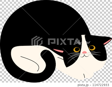 illustration, animal, vector, collection, cat, cute, drawing, cartoon, kitty, design, pet, art, character, set, funny, pose, happy, adorable, isolated, background, smile, meow, icon, doodle, kitten 114722933