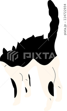 illustration, animal, vector, collection, cat, cute, drawing, cartoon, kitty, design, pet, art, character, set, funny, pose, happy, adorable, isolated, background, smile, meow, icon, doodle, kitten 114722934